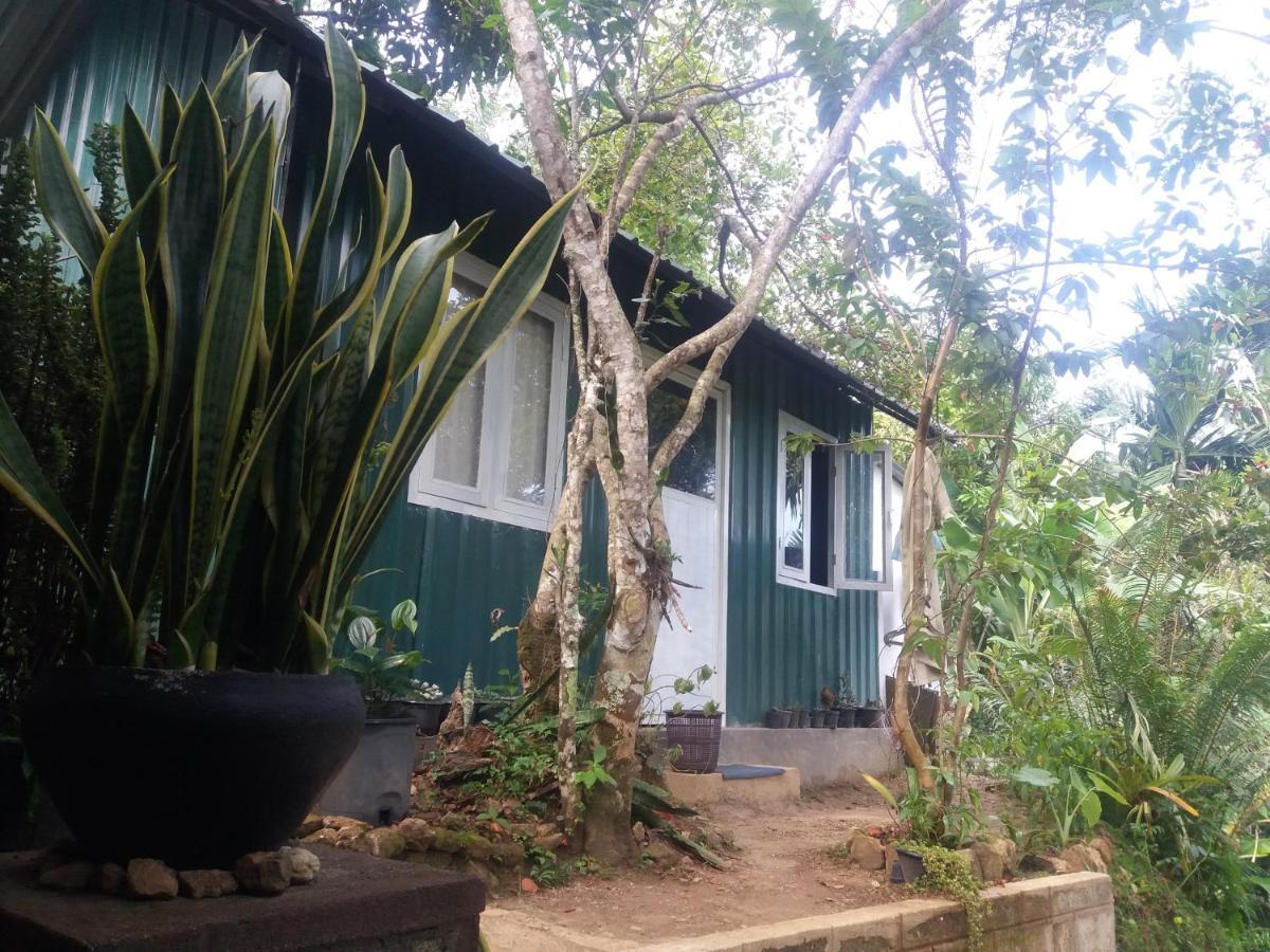Ella green stay Exterior foto
